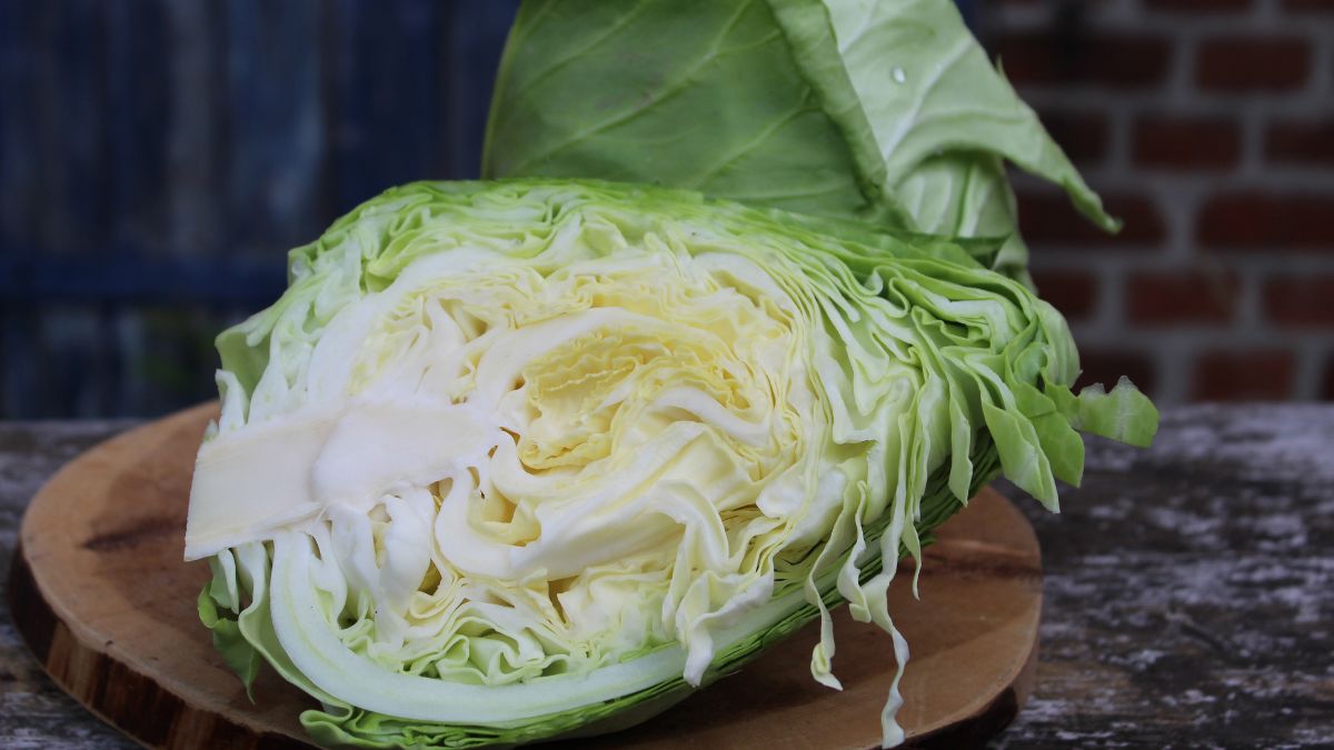 Spitzkohl aufgeschnitten